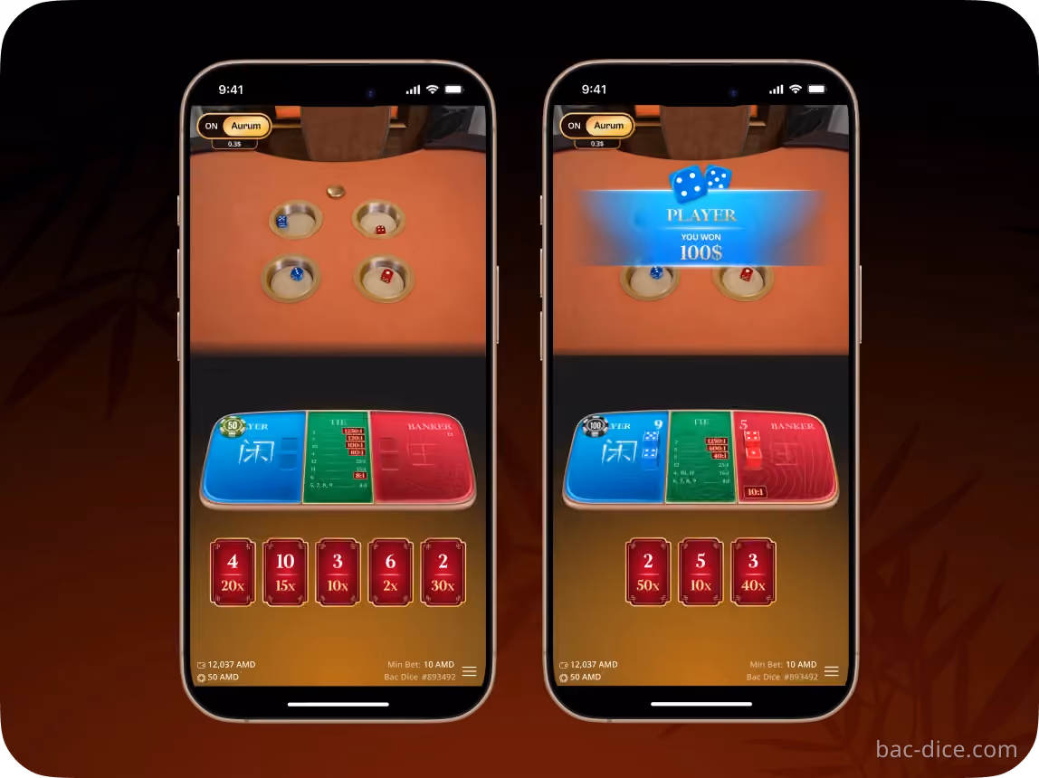 Bac Dice in action